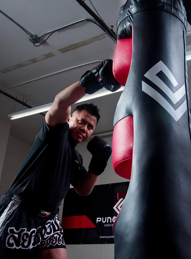 Punch punching bag sales