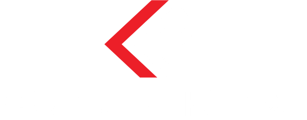 Punch King World logo