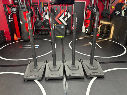 The INSTA-Ring (Crowdfunding Project)