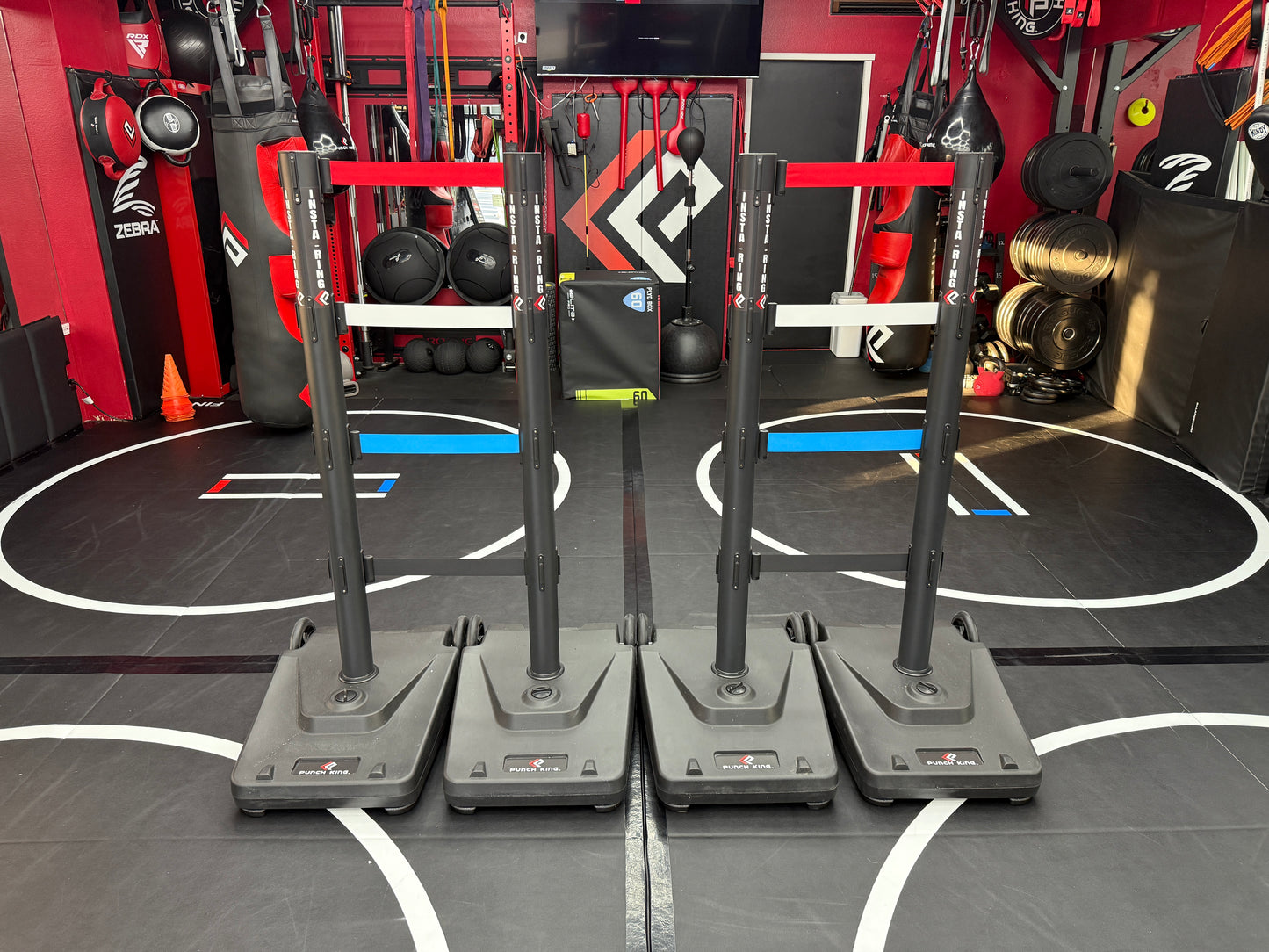 The INSTA-Ring (Crowdfunding Project)