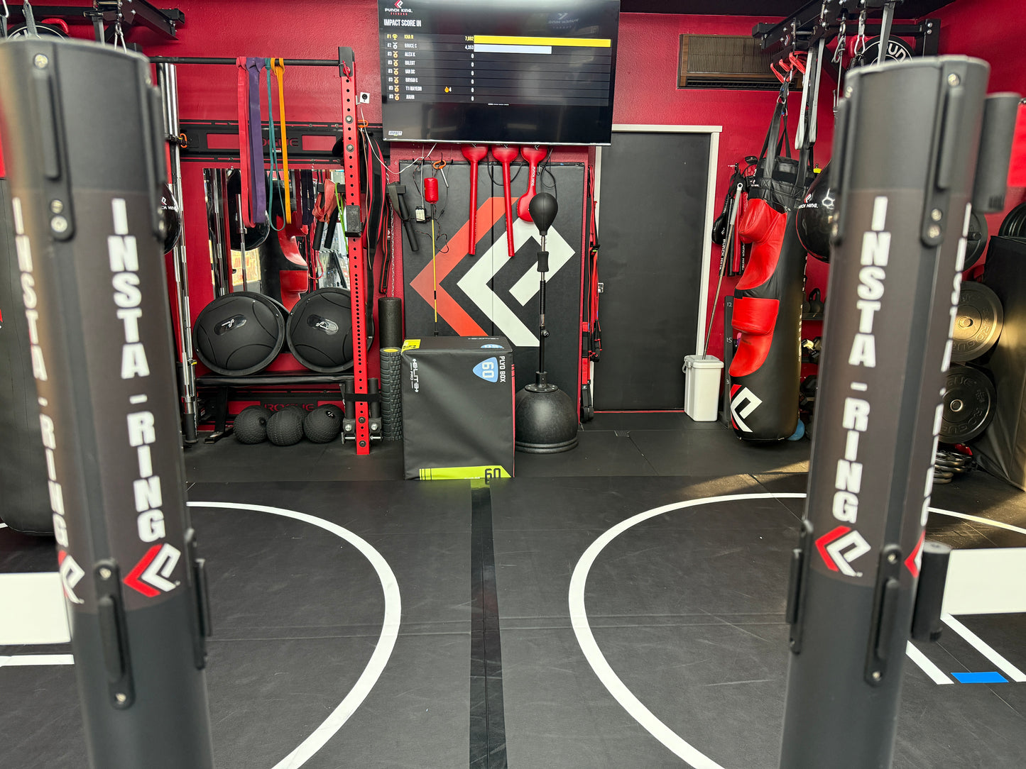 The INSTA-Ring (Crowdfunding Project)