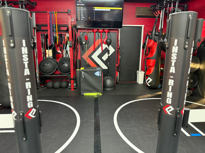 The INSTA-Ring (Crowdfunding Project)