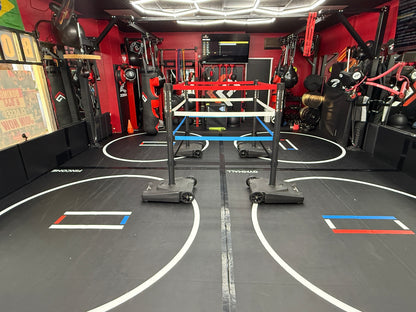 The INSTA-Ring (Crowdfunding Project)