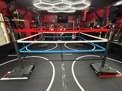 The INSTA-Ring (Crowdfunding Project)