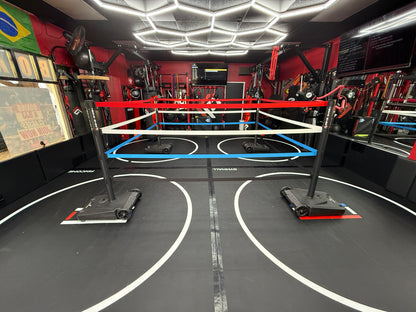 The INSTA-Ring (Crowdfunding Project)