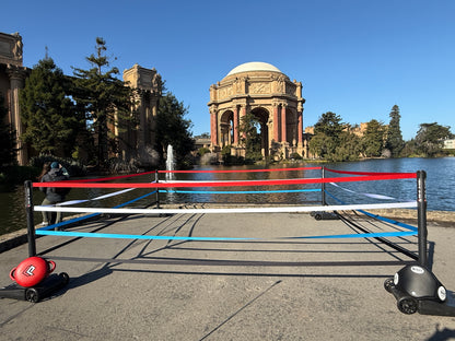 The INSTA-Ring (Crowdfunding Project)