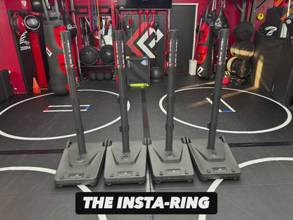 The INSTA-Ring (Crowdfunding Project)